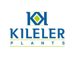 Kileler Plants