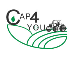 CAP 4 You